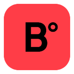 Logo BearingPoint France