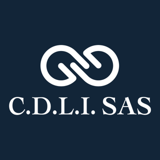 Logo CDLI Conseil