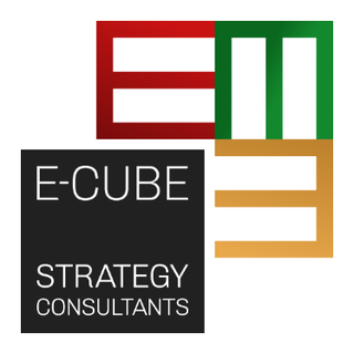 Logo E-CUBE Strategy Consultants