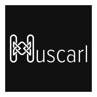 Logo Huscarl