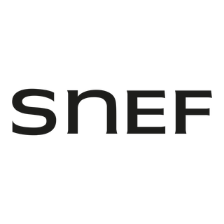 Logo Groupe SNEF