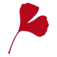 Logo Transcapital