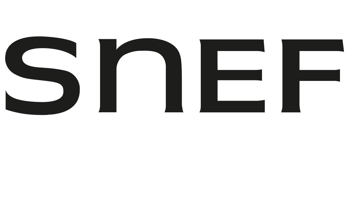 Logo Groupe SNEF